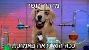 send.png