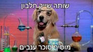 send (136).png