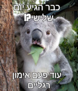 send (162).png