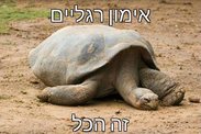 ×¨×××××.jpg