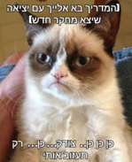 send (302).png