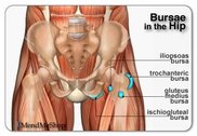 hip-bursae.jpg