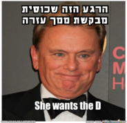 canvas.png