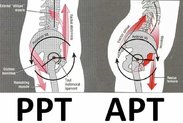 pushup-position.jpg