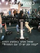 dog2.jpg