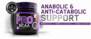 pro-bcaa-header-crop.jpg