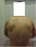back.jpg