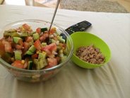 IMG_1244 (Small).JPG