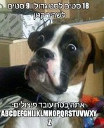 IMG_30971441803355.jpeg