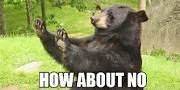 HOW ABOUT NO BEAR.jpg
