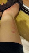 20141228_013506.jpg