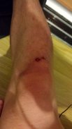 20141228_013517.jpg