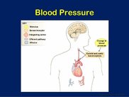 autonomic-function-tests-40-638.jpg