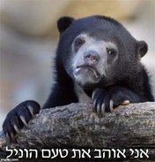 וניל.jpg