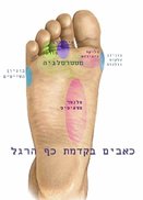 forefoot-pain.jpg