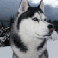 TheZoRT