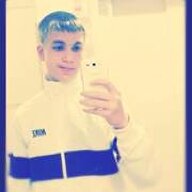 Ariel shemesh