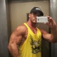 avi sitbon