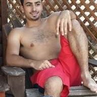 tal alfi