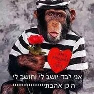 erez991