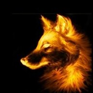 WolfM