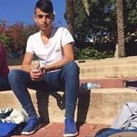 עמית פלג