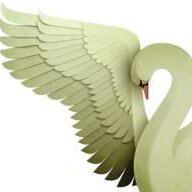 Swan