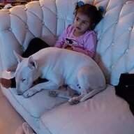 עמיח