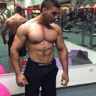 Sary Kassis