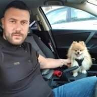 דוד שרון