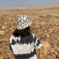 קארין אלשטיין