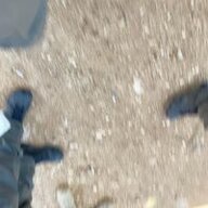 תומר שוקרון