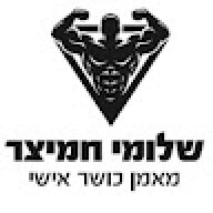 שלומי חמיצר