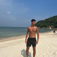 ori_cohen7