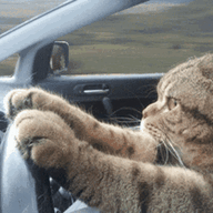 Drive