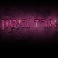 ארז ביטון