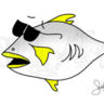 CoolFish