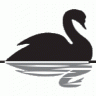 BlackSwan