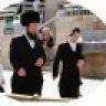 תרנגול זועם