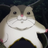 Hamster