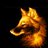 WolfM