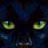 B_cats