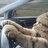 Drive