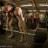 BodyBuilding