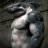 jonne